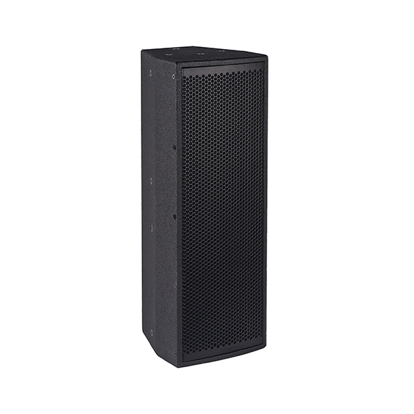 双6点声源全频扬声器DS26